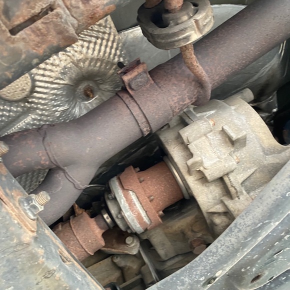 Meet your Posher, Lucas - Picture 1 of 1